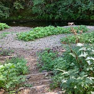 Creek adjacent to the land.