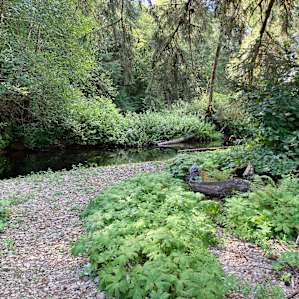 Creek adjacent to the land.