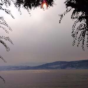 Wildfire on the