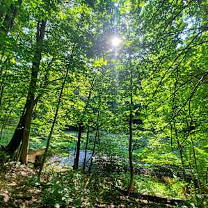Secluded Sites along Sterling Creek