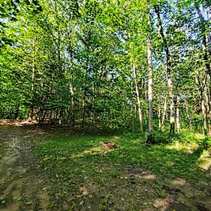 Site C