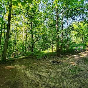 Site D