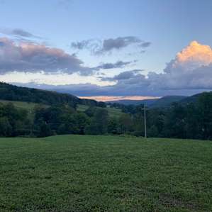 Evening view