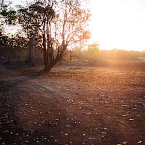 View of the open Paddock
