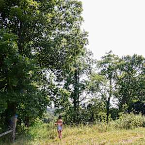 Tent Camping on 93 acre Horse Farm