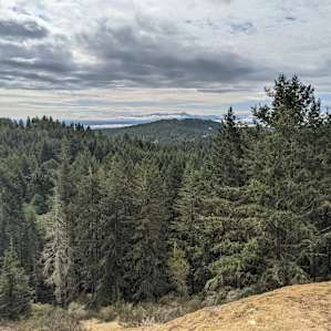 Peace and Quiet at Pacific Ranch