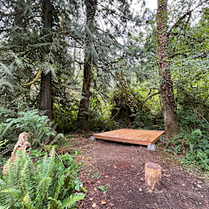 Hollyhock Farm Forest Retreat #1
