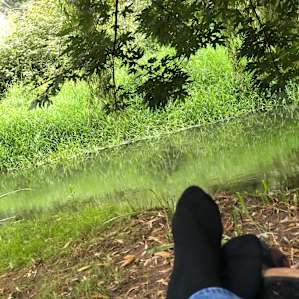 Clark's creek Camping