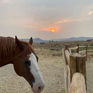 The Bullock Ranch,Owyhee Mountains