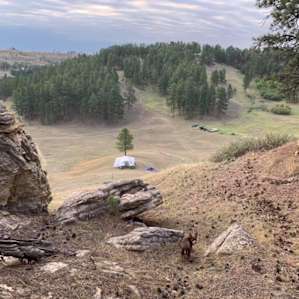 Secluded Land 80 acres Devils Tower