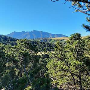 Sheep Mountain Property (35 Acres)