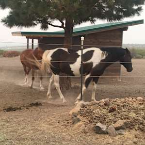 Juniper Spur Ranch