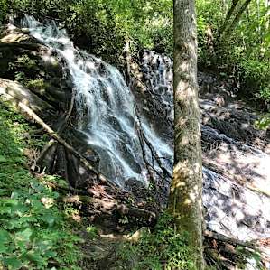 Songbird Mountain Camping