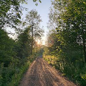 Rail trail