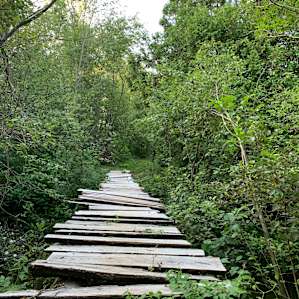 Bridge leading towards the rail trail