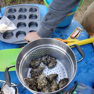 Shucking oysters for dinner