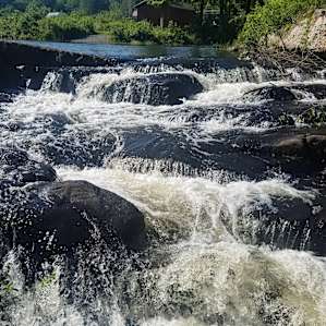 DAVEY FALLS