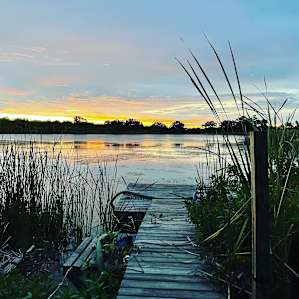 By the Pond