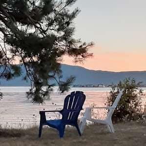 View from the site.
