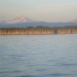 Mt. Baker from the kayak.