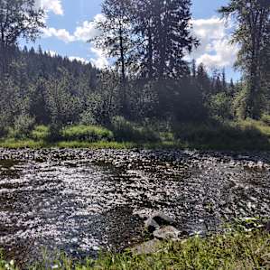 This was our morning coffee view.