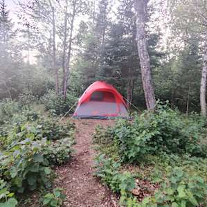 Plenty of space for a tent or even two