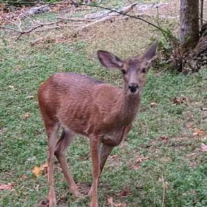A sweet momma.
