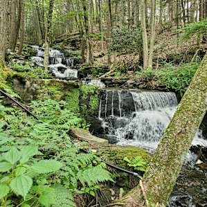 Waterfall Paradise, Walk to River