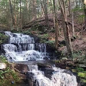 Waterfall Paradise, Walk to River