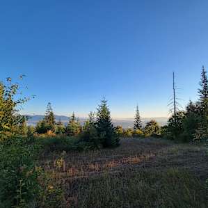 Lovely views🥰