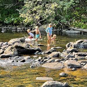 Camp Webb River, Near Mt Blue State