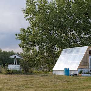Newly built greenhouse.