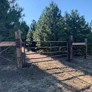 Bellamy family farm