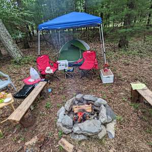 Forest camp