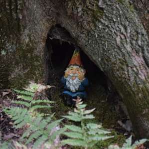 One of the hidden gnomes