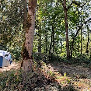 Spacious site