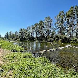 River's Edge