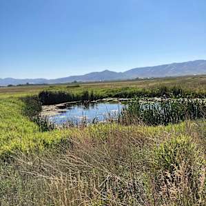 Meadow Springs Tipi and Campsite