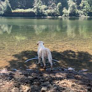 Rivers Edge Getaway