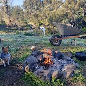 Can have a campfire & dog