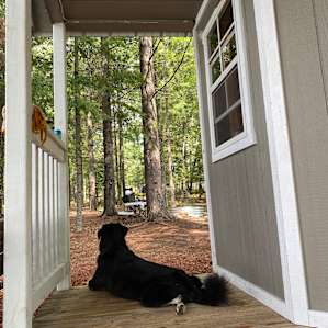 Perryn's Cabin on the Water