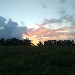 sunset view from campsite