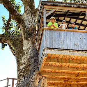Tree House in the Valley