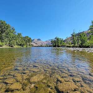 Salmon River Dreamstream