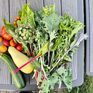 Veggies and fruits from the host!