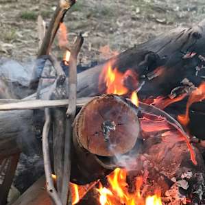 Cute & Secluded Scenic Rim Campsite