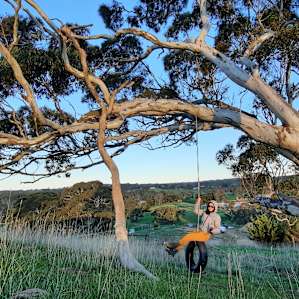 Hill View Farm Camp