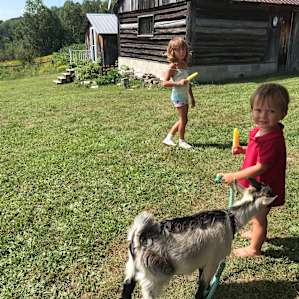 Stone Oaks Farm