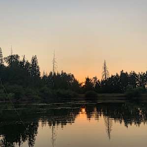 Forest with Private Lake