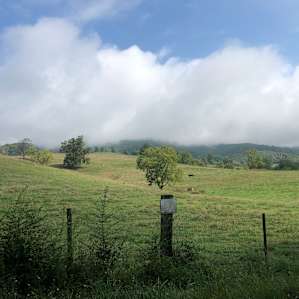 Area close to the property (within a 10 min drive).